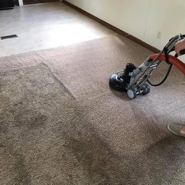 1 for Carpet Cleaning in Bridge City | A+ BBB Rating